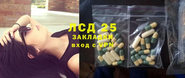 индика Заводоуковск