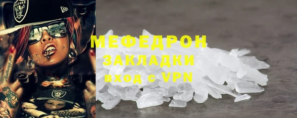 индика Заводоуковск