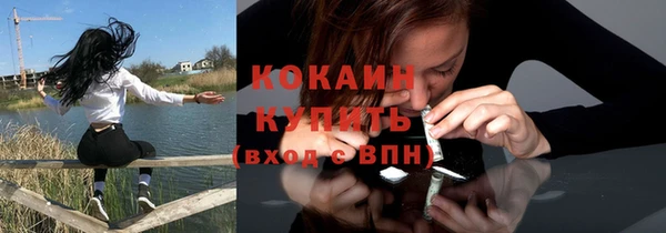 индика Заводоуковск