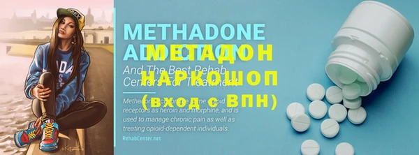 индика Заводоуковск