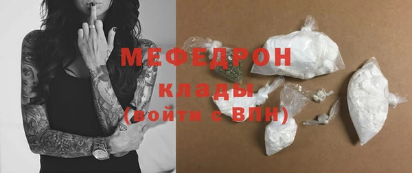 индика Заводоуковск