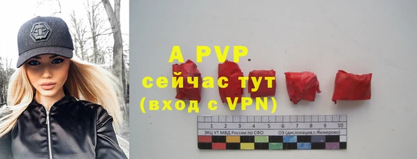 индика Заводоуковск