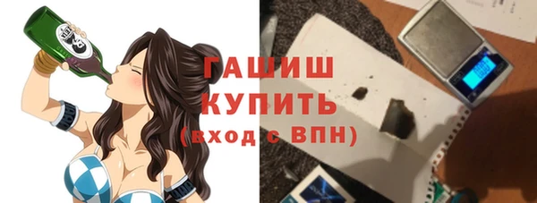 индика Заводоуковск