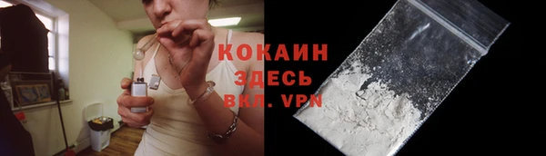 индика Заводоуковск