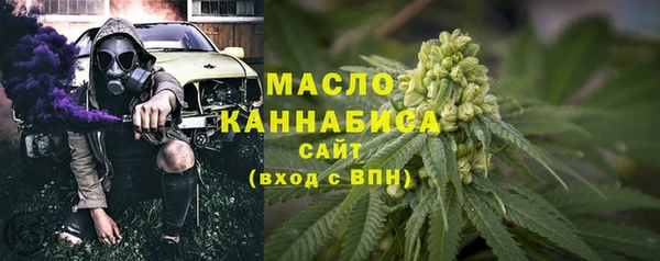 индика Заводоуковск