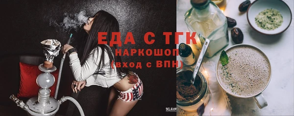 индика Заводоуковск