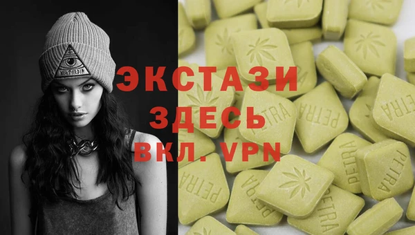 индика Заводоуковск
